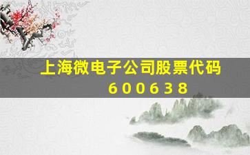 上海微电子公司股票代码6 0 0 6 3 8